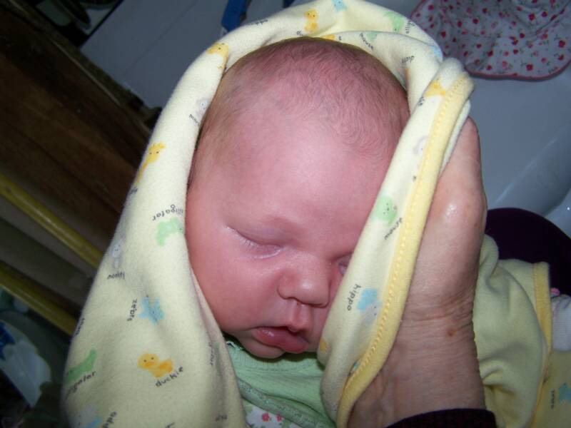 Nikoline' at 10 days young