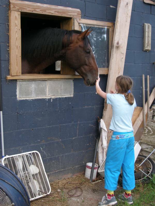 Carsten - now a 4 yr old stallion, greeting a young relative from Canada - Claire