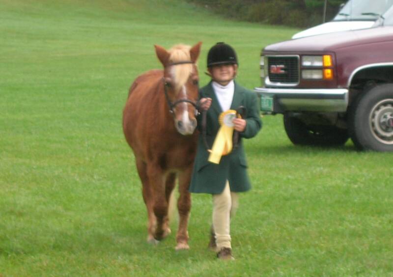 Cubby & Wheaties get a Third Place Ribbon for their very first Fitting & Showmanship Class!  (-: