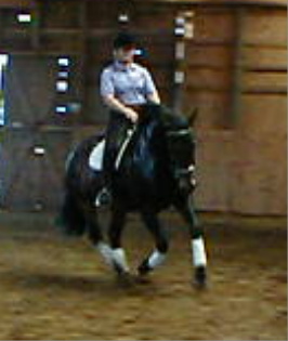 Eli & R.C. at an Elaine Banfield Clinic  ~  Greenbush Farm, Charlotte, Vt