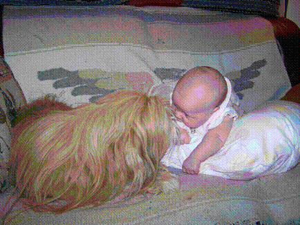 Missy Mishka babysitting Nikoline'