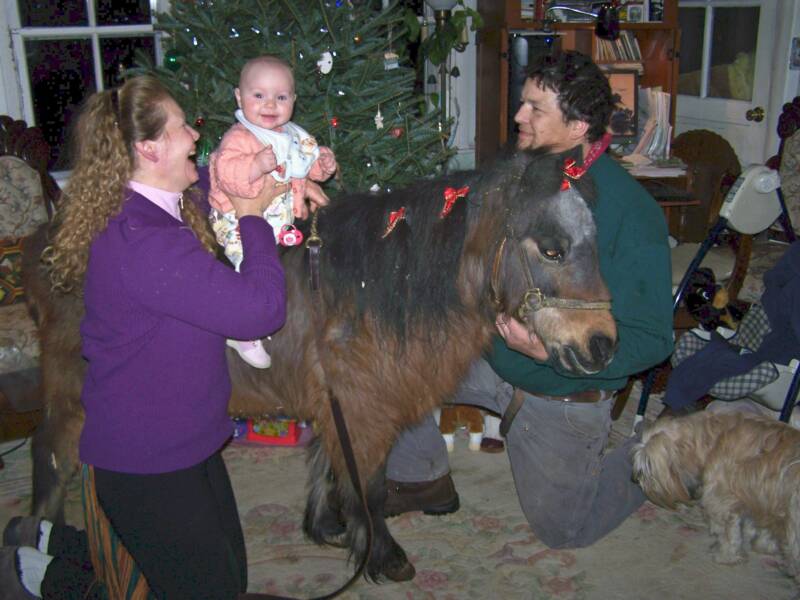 30 yr. young Foxy and Ken "Under the Christmas tree" ~ at her owner's request!