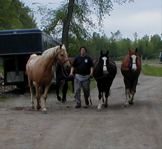 Ken bringing in "the boys"