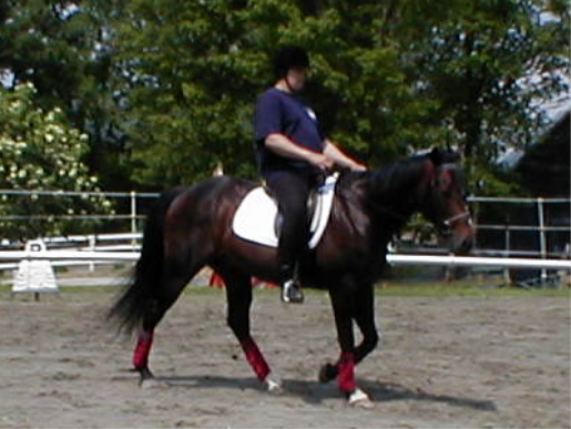 Ken and his horse ~ MTV