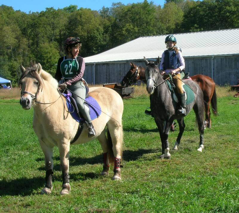 Eli's Norwegian Fjord Horse Merryelle with rider Candy Cahn and friends at the Second Chance hunter Pace in Shaftsbury, Vt ~ Sept. '05