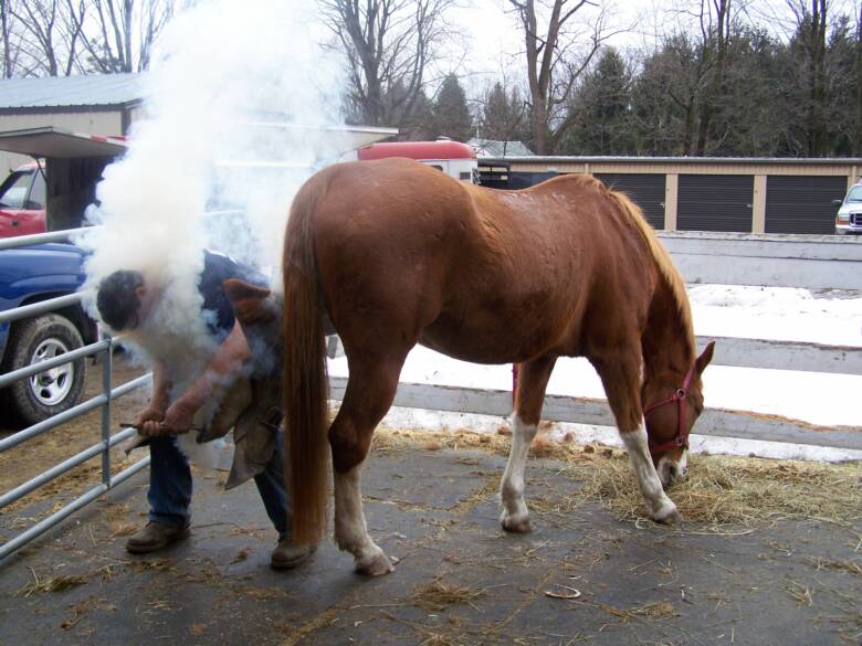 Ken hot-shoeing Splash at a Farrier Clinic
