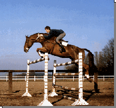 Carsten's Sire ~ Obelisque Normand