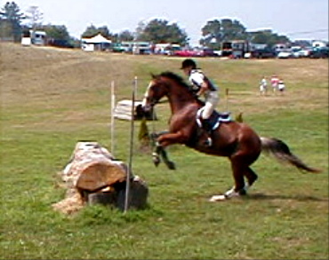 Bonnie & Shamus - Taking off at Hitching post!