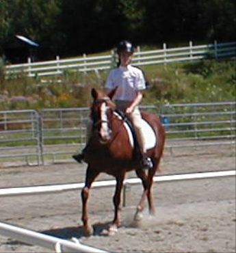 Emily and Regalo in a steady trot!