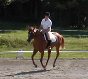 Erin and Barbie in a nice canter!