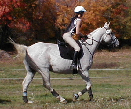 Jennifer and Got My Grey Suit On galloping x-country!