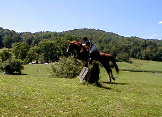Tarini and Splish Splash at Hitching Post Horse Trials