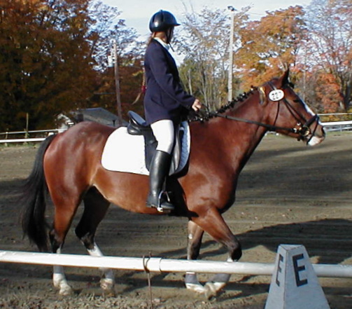 Roxanne and Kachina just a few months under saddle and at their first show!