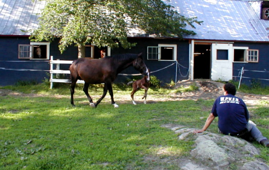 Ken, Champ and R.C. watching Carsten & Gretchen on his first day outside.