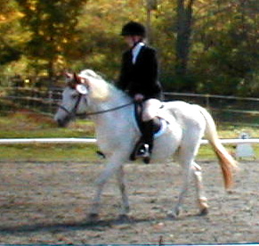 Lynn and Jingles share a true willingness to work well together!