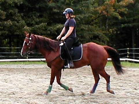 RaeAnn & Dexter trotting beautifully!