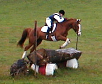 Tarini & Splash going Training Level at Hitching Post