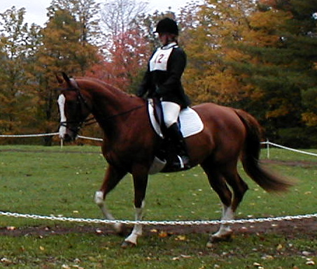 Tarini & Splash ~ Dressage phase at Hitching Post