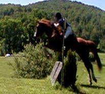Tarini and Splish Splash at Hitching Post Horse Trials